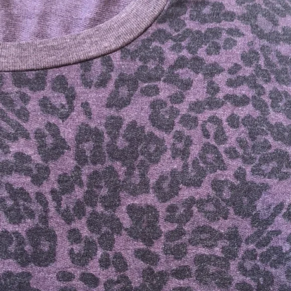 Splendid Short Sleeve Sweatshirt - Picture 3 of 9